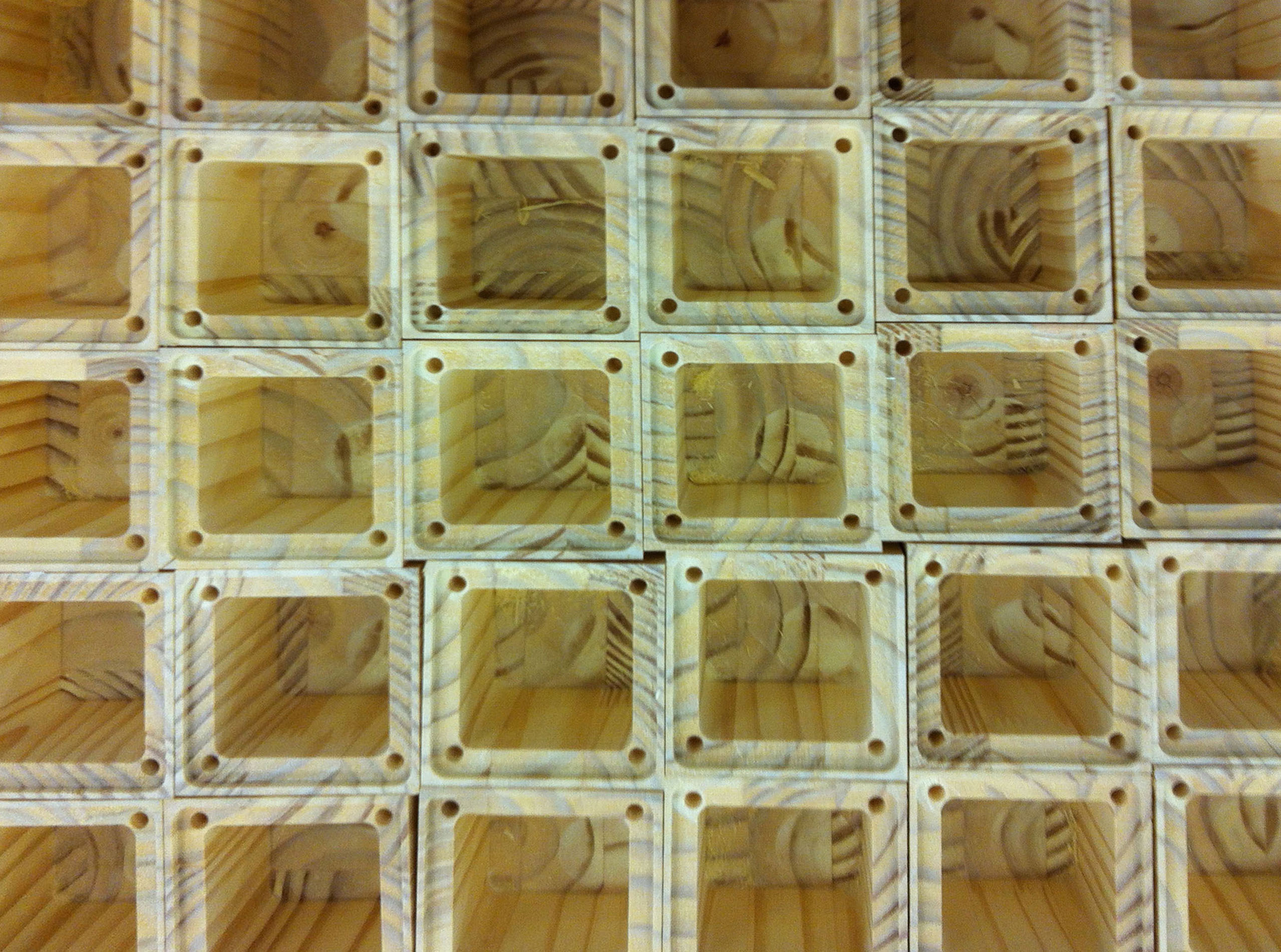 Armand Basi Wild Forest