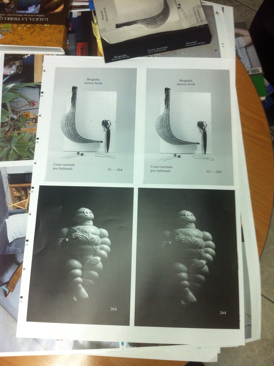 Coses normals poc habituals