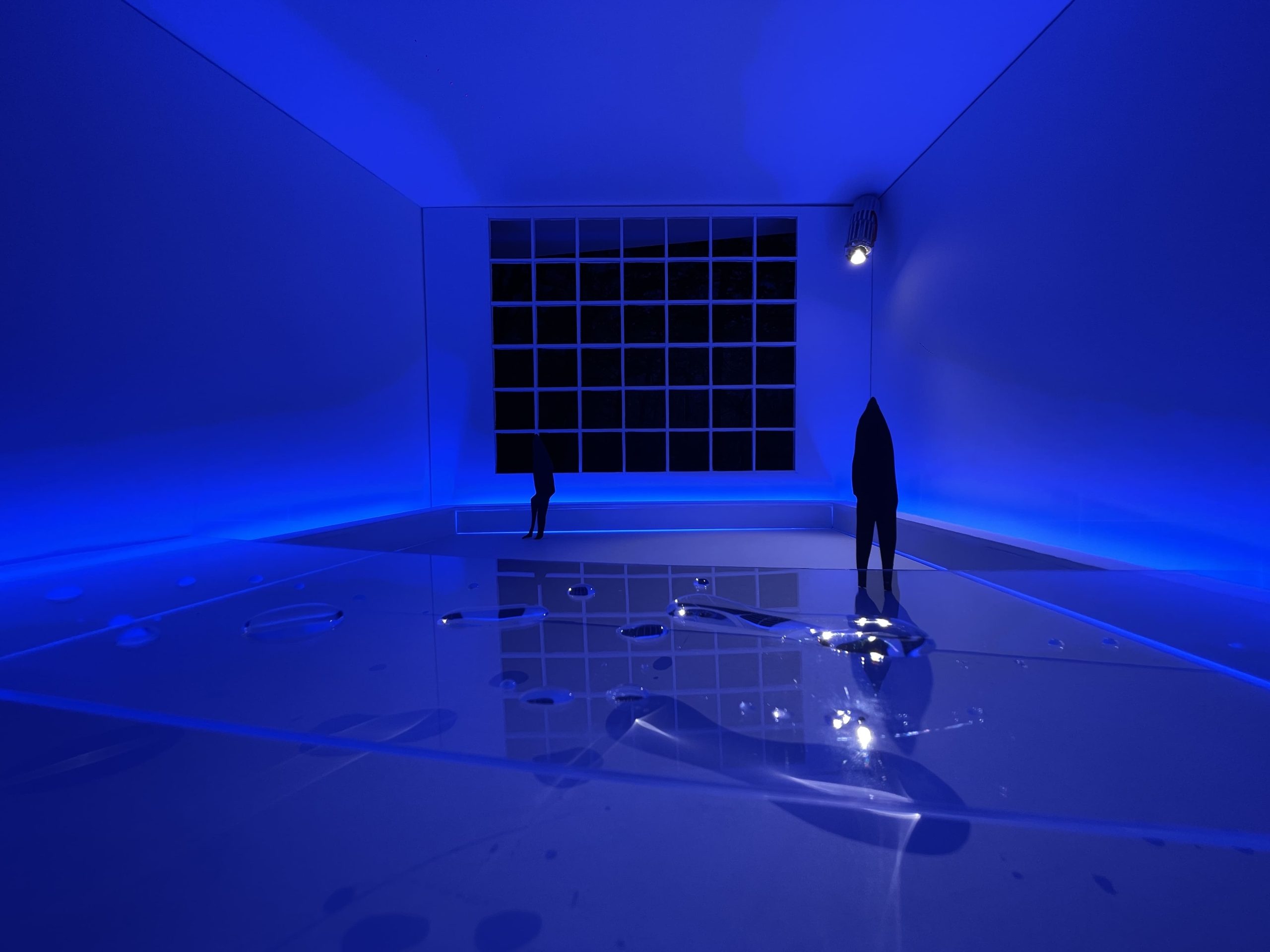 A Dialogue With Light