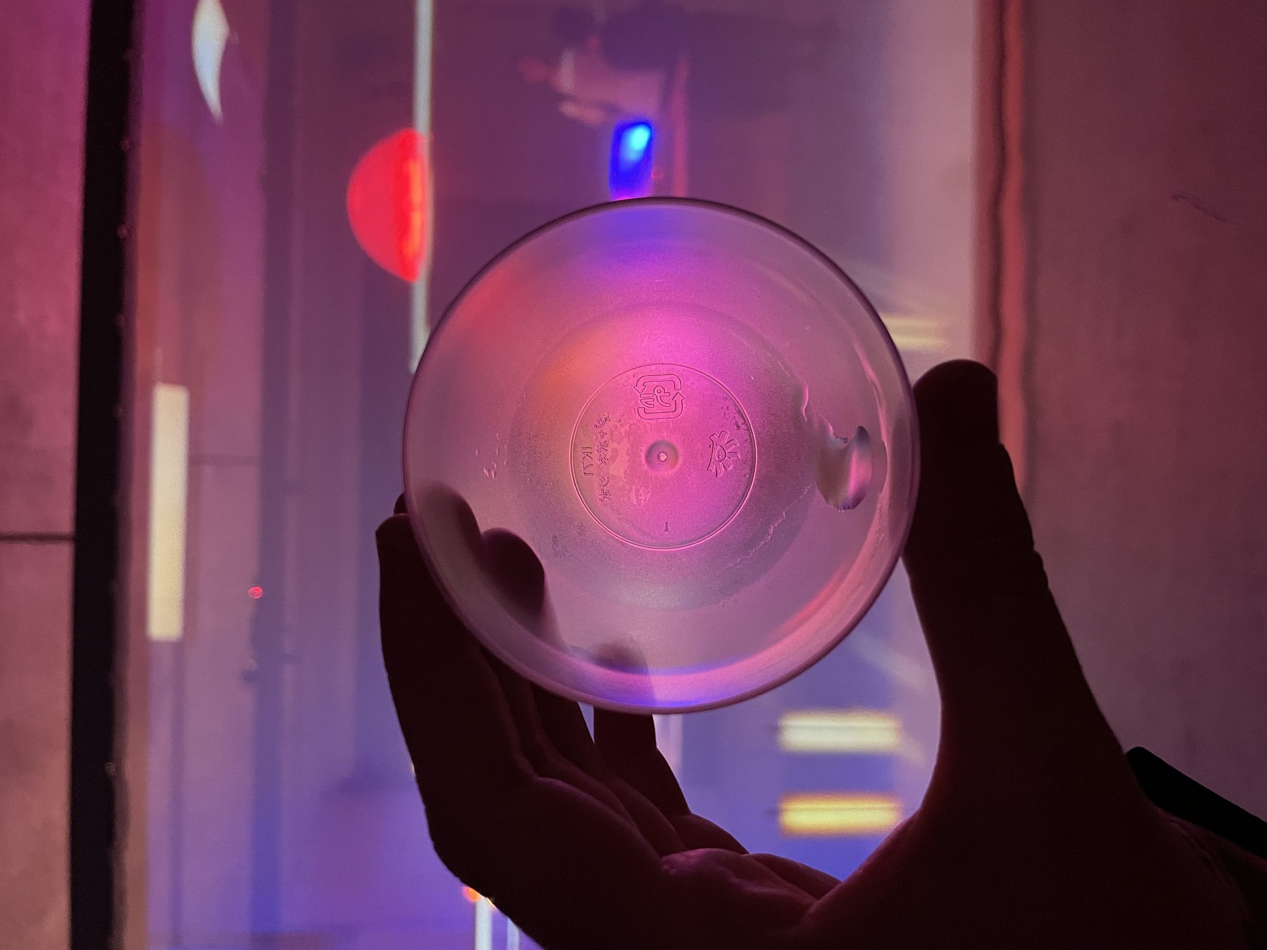 A Dialogue With Light