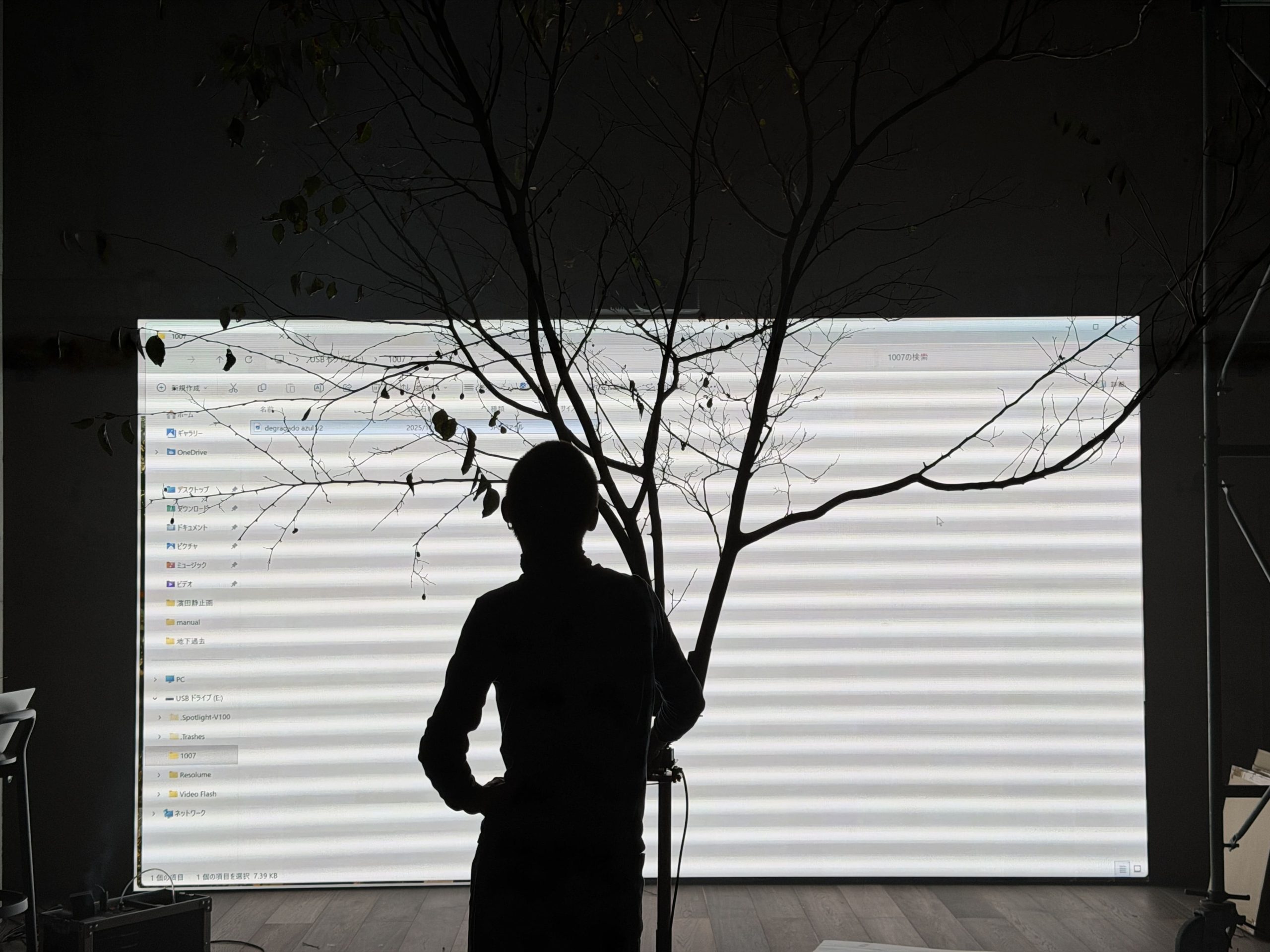 A Dialogue With Light