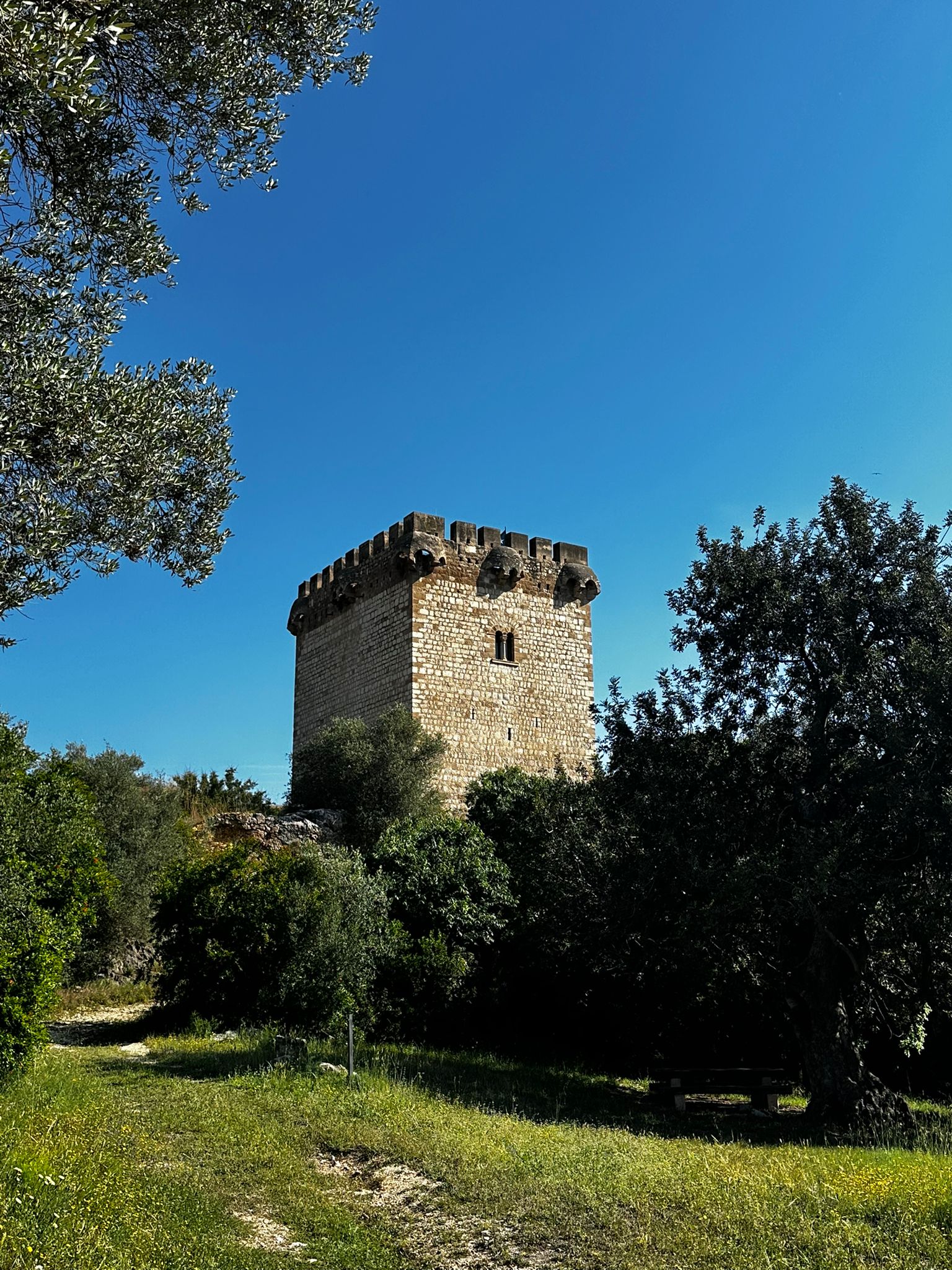 Línea, la llum