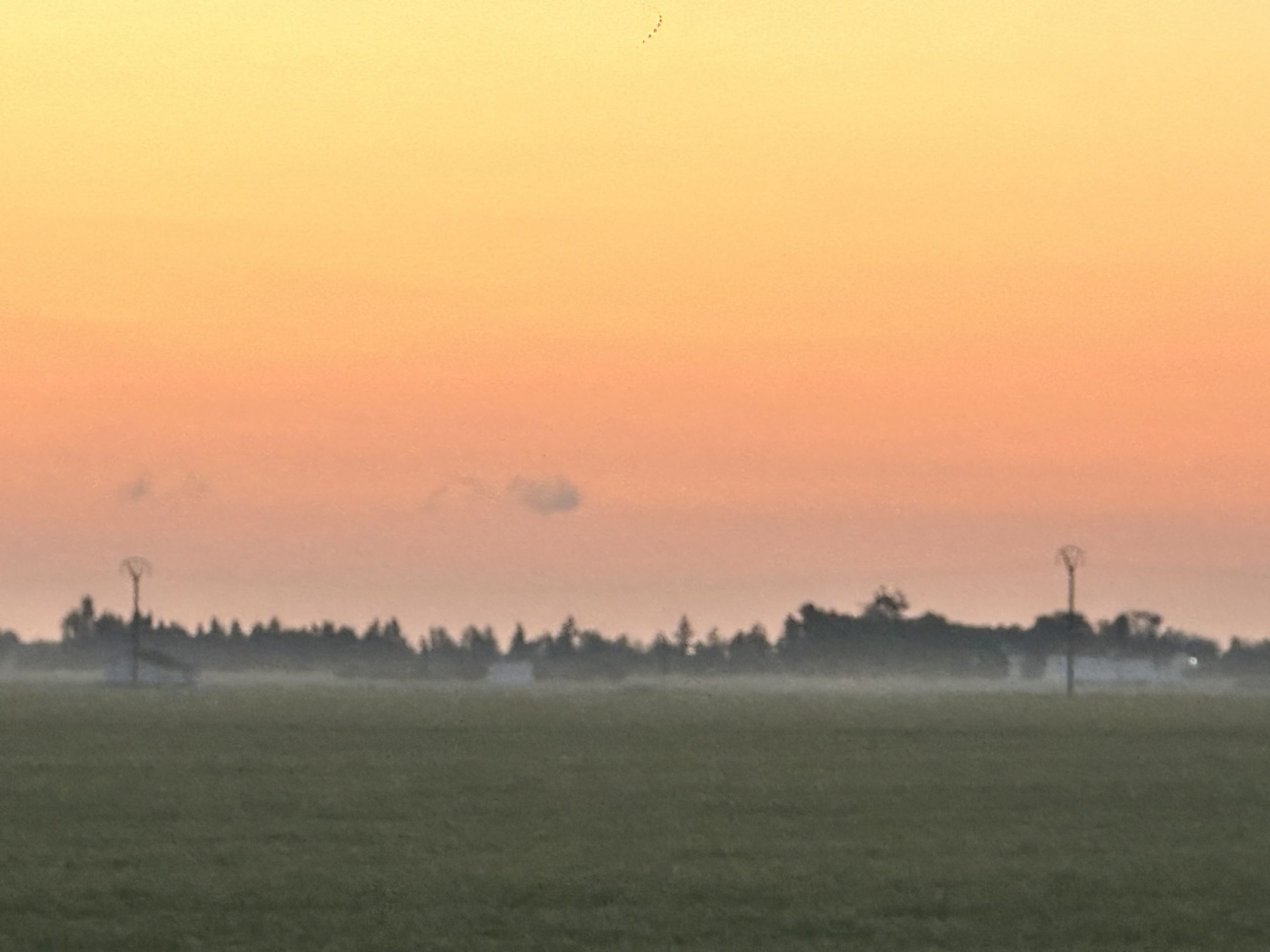 August