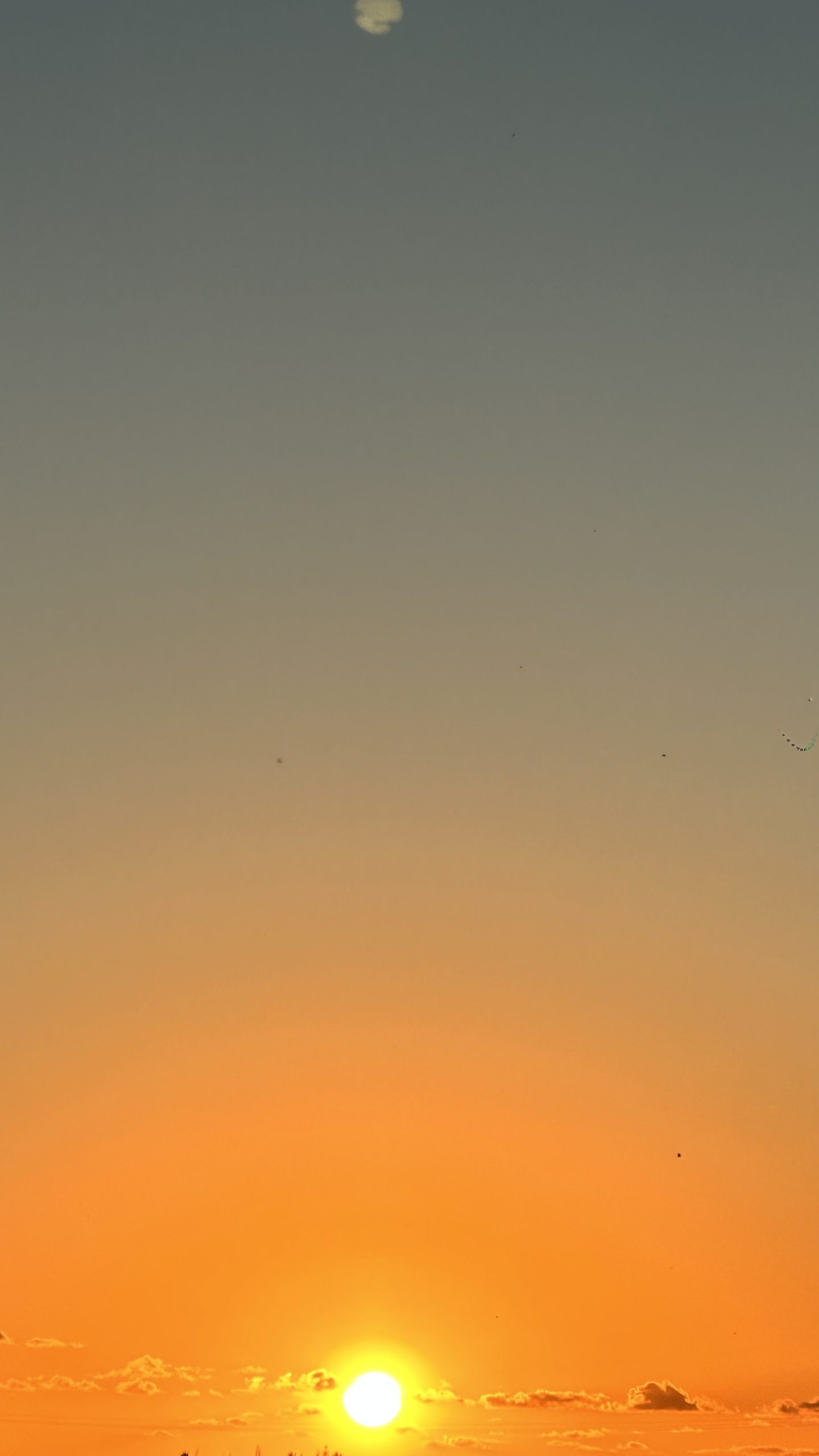 August